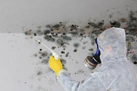 Best Mold Removal for HVAC Installations  in Cheney, WA